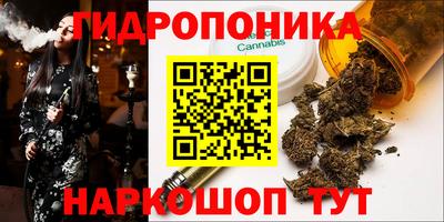 скорость Новодвинск