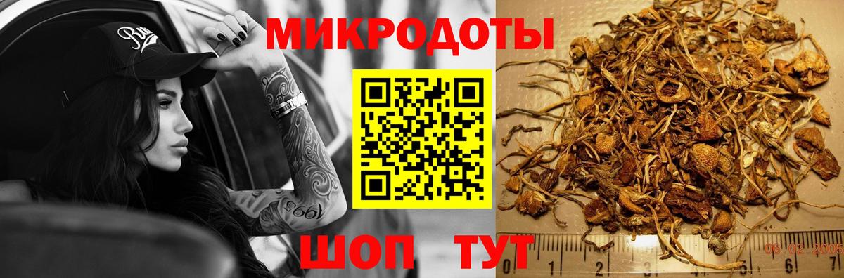Псилоцибиновые грибы Psilocybine cubensis Шадринск