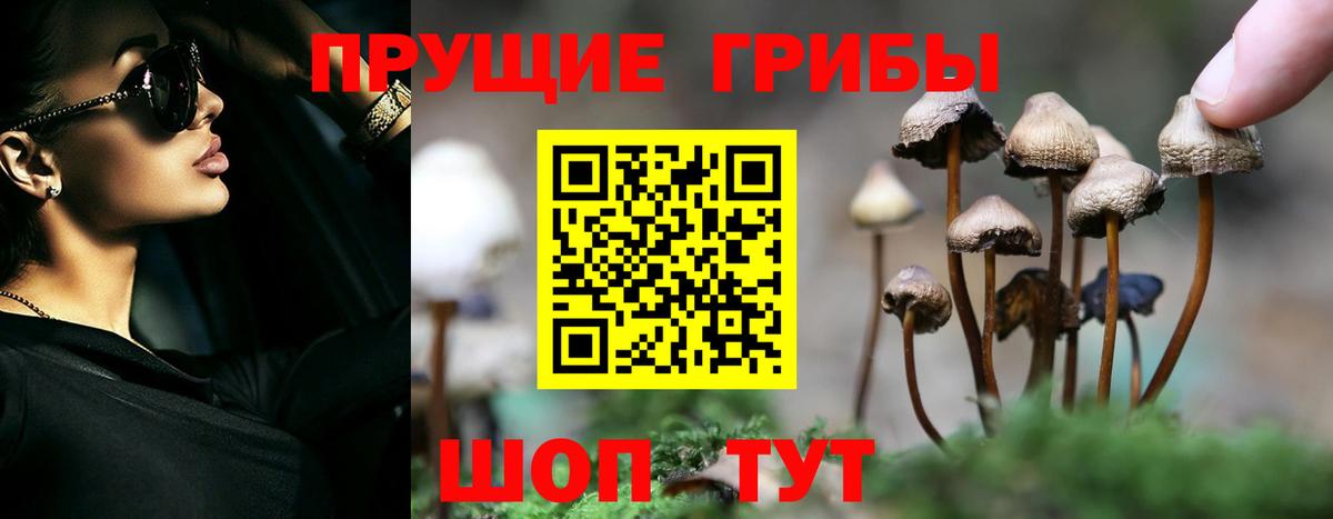 Псилоцибиновые грибы ЛСД  Вход с VPN  Шадринск 